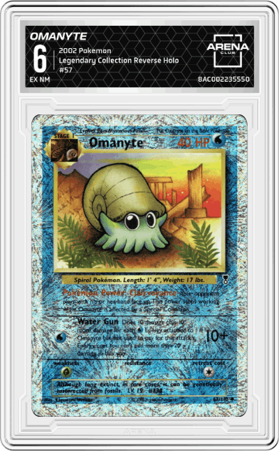 Omanyte