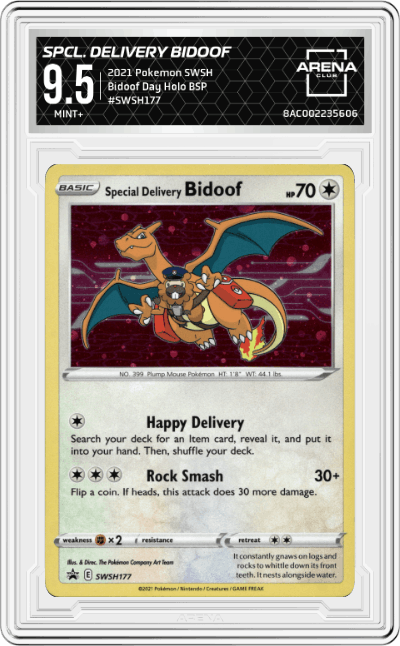 Special Delivery Bidoof