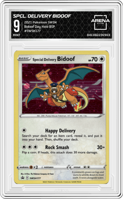 Special Delivery Bidoof