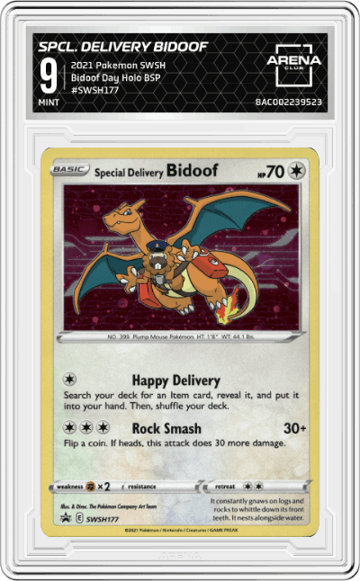 Special Delivery Bidoof