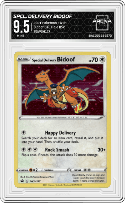 Special Delivery Bidoof