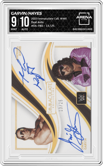 Jimmy Garvin/Michael Hayes