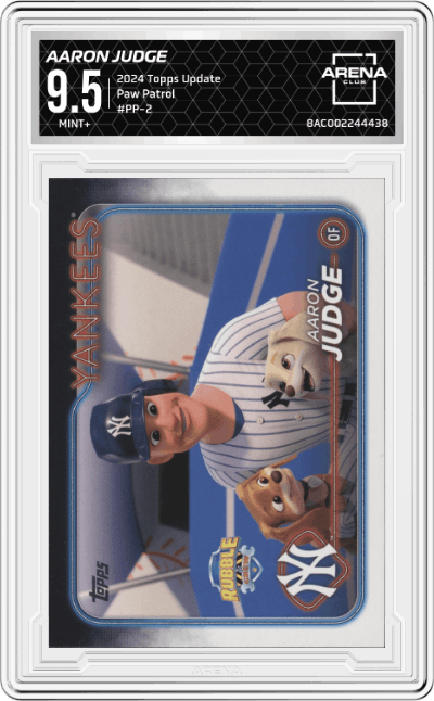 Aaron Judge