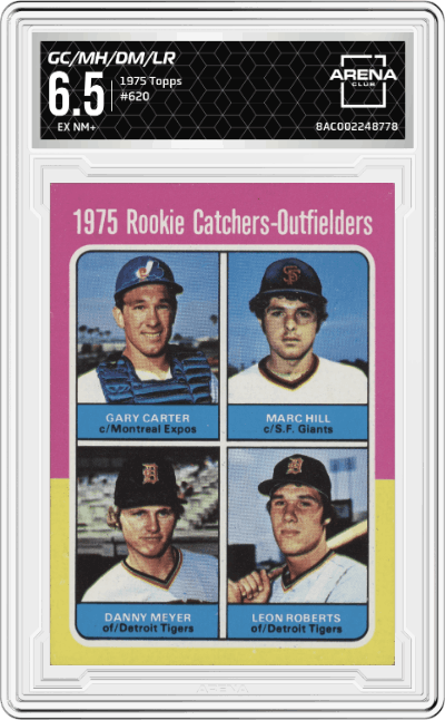 Gary Carter/Marc Hill/Danny Meyer/Leon Roberts