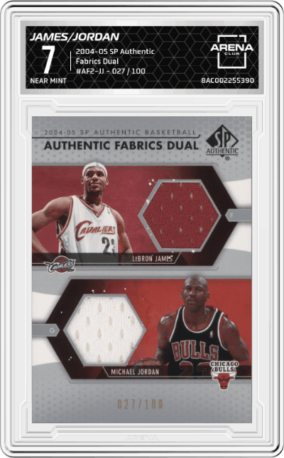 LeBron James / Michael Jordan