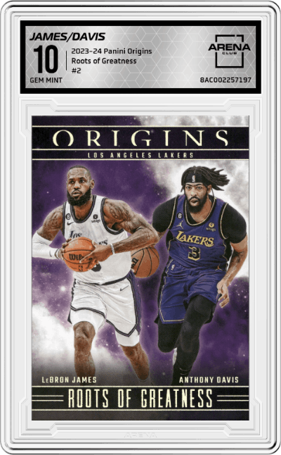 LeBron James/Anthony Davis