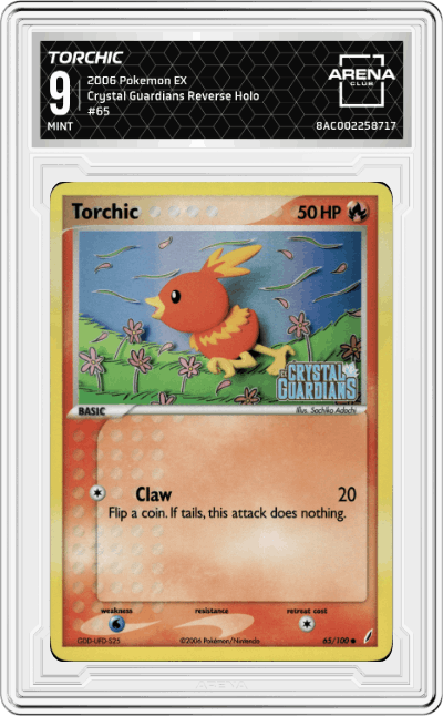 Torchic
