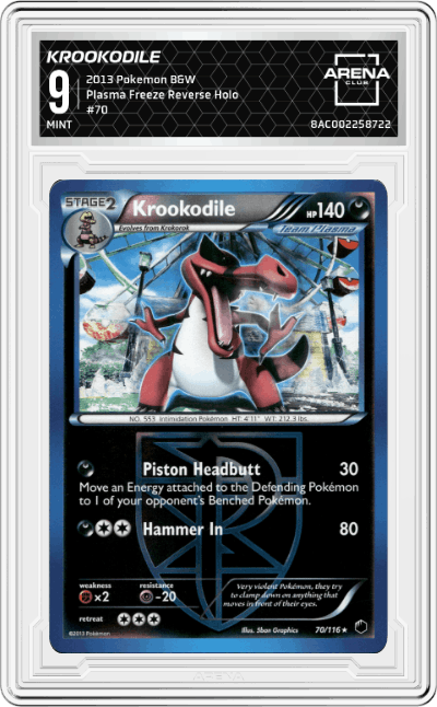 Krookodile