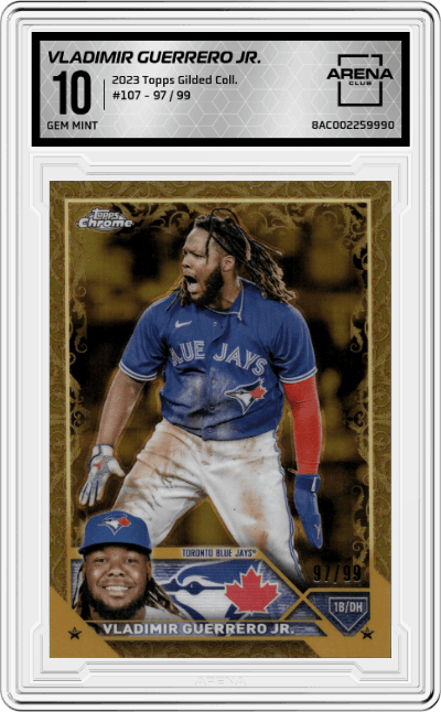 Vladimir Guerrero Jr.