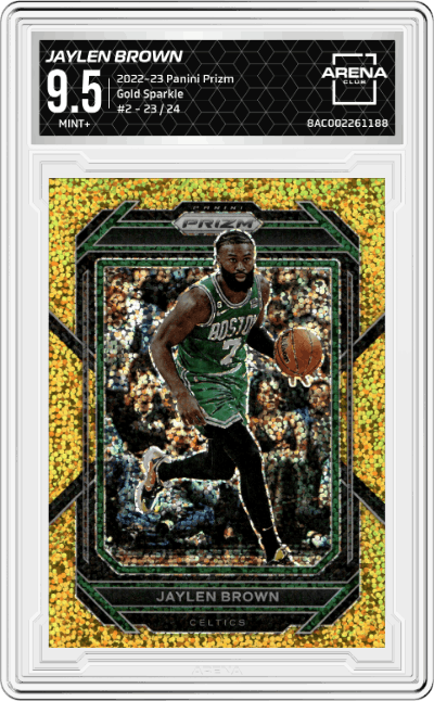 Jaylen Brown