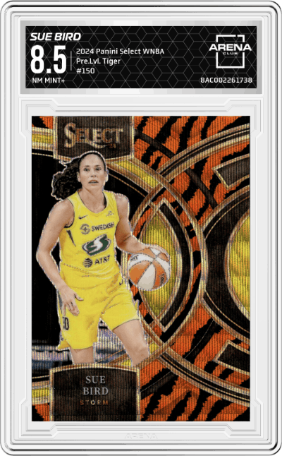 Sue Bird