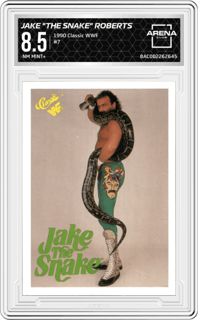 Jake "The Snake" Roberts