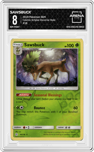 Sawsbuck