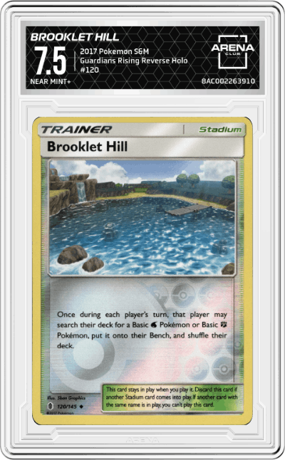 Brooklet Hill