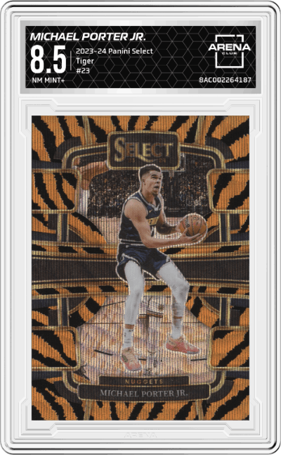 Michael Porter Jr.