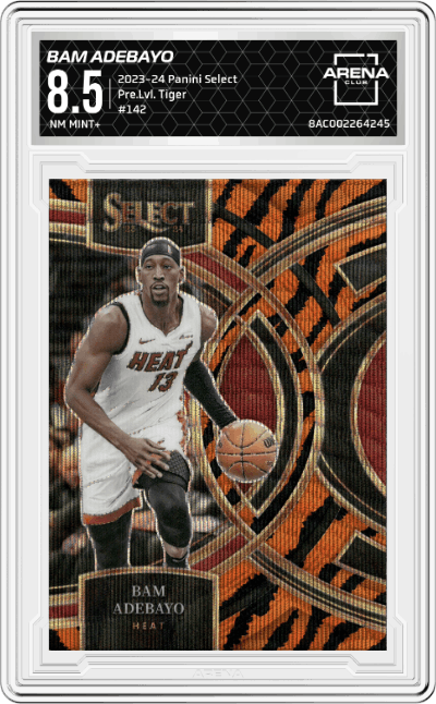 Bam Adebayo