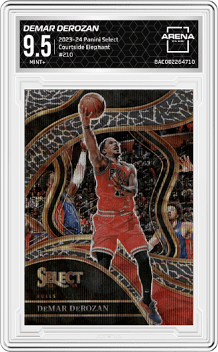 DeMar DeRozan from the 2023-24 Panini Select  set featuring a Elephant parallel graded by Arena Club and given an overall grade of 9.5.