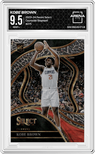 Kobe Brown from the 2023-24 Panini Select  set featuring a Elephant parallel graded by Arena Club and given an overall grade of 9.5.