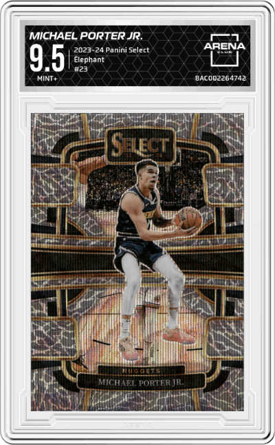 Michael Porter Jr.