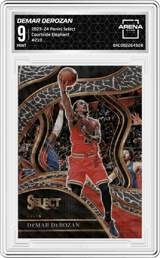DeMar DeRozan from the 2023-24 Panini Select  set featuring a Elephant parallel graded by Arena Club and given an overall grade of 9.