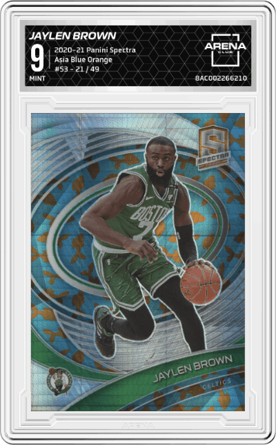 Jaylen Brown