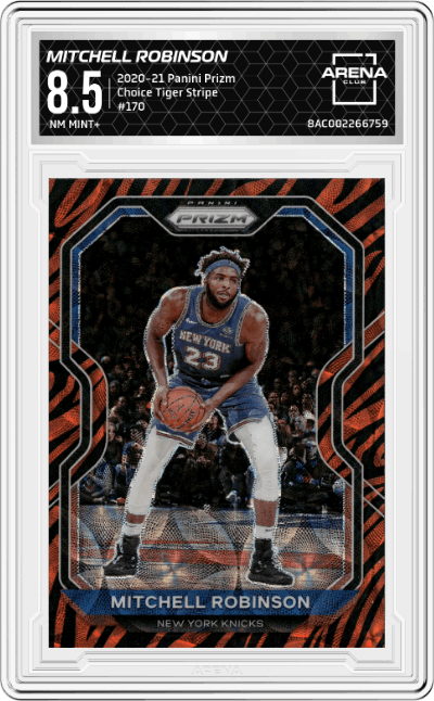 Mitchell Robinson