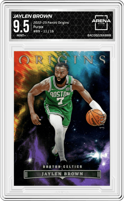Jaylen Brown
