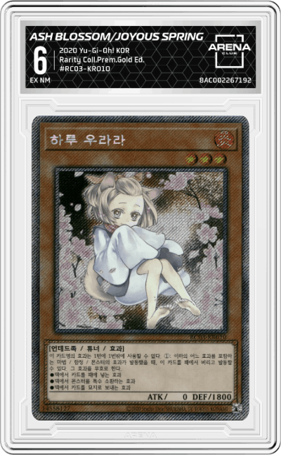 Ash Blossom & Joyous Spring