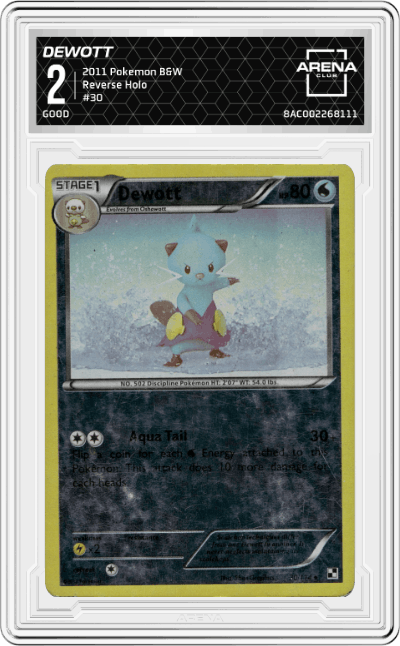 Dewott