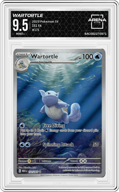 Wartortle
