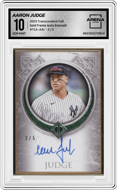 Aaron Judge