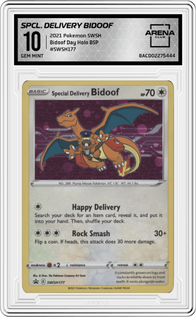 Special Delivery Bidoof