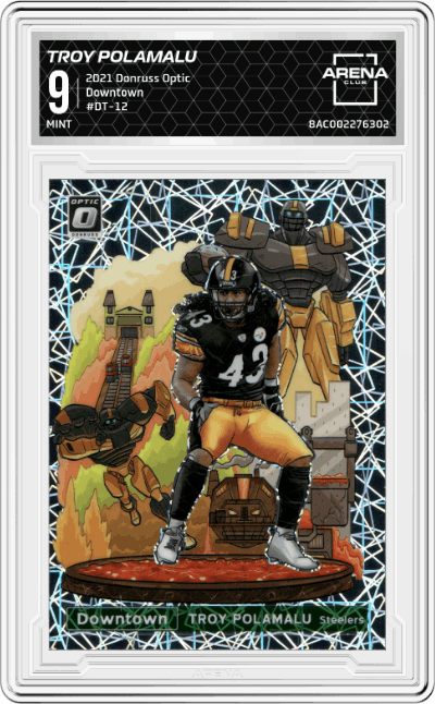 Troy Polamalu