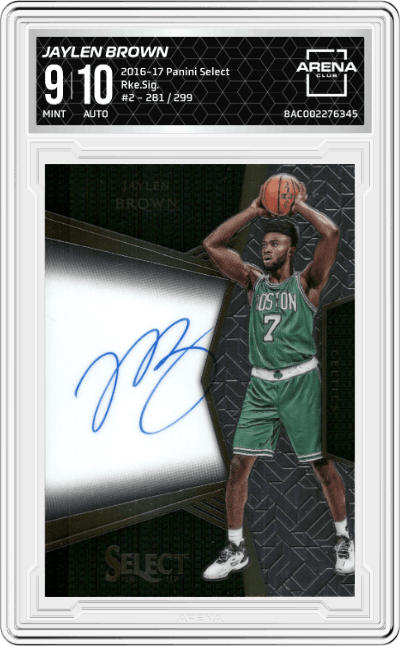 Jaylen Brown