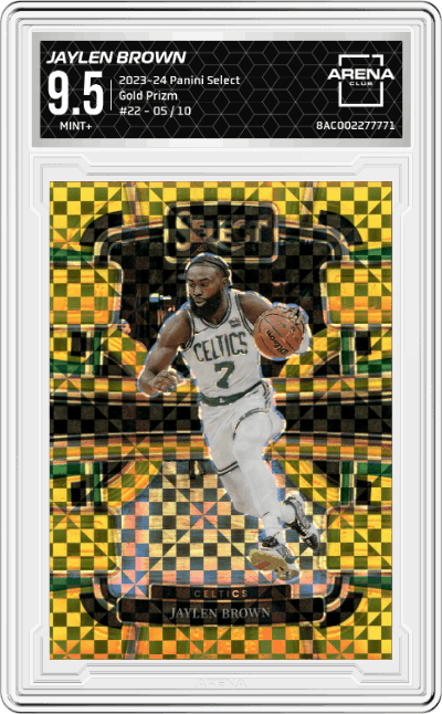 Jaylen Brown
