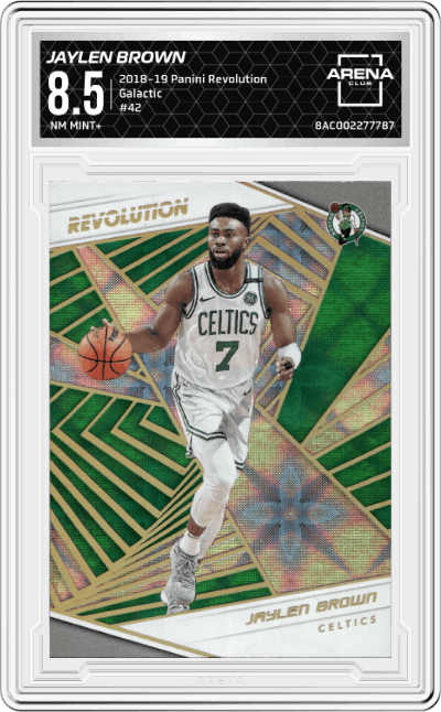 Jaylen Brown
