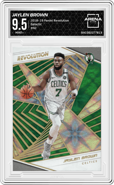 Jaylen Brown