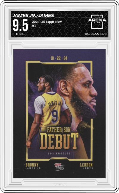 Bronny James Jr./LeBron James