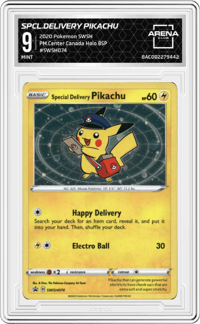 Special Delivery Pikachu