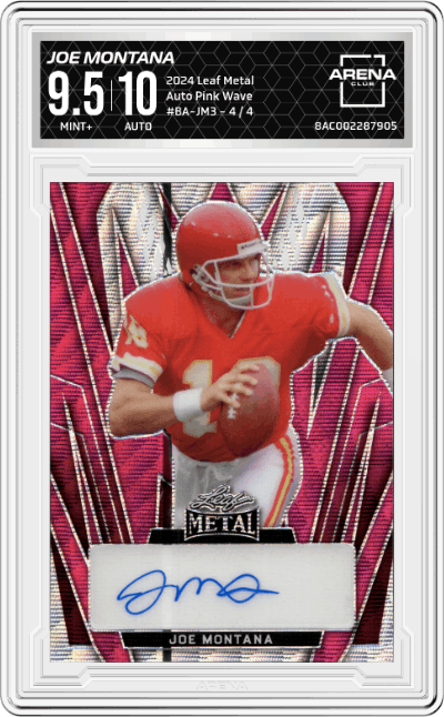 Joe Montana