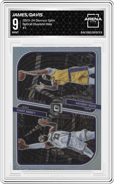 LeBron James/Anthony Davis