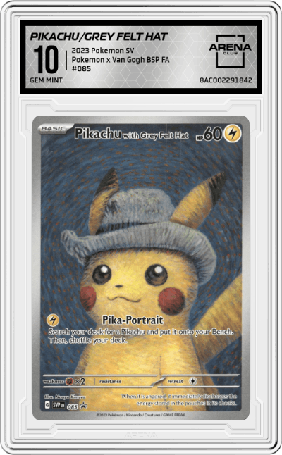 Pikachu with Grey Felt Hat