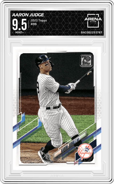Aaron Judge