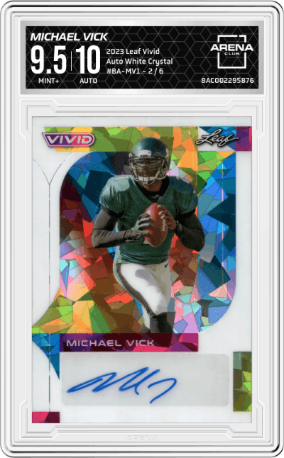 Michael Vick