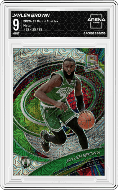 Jaylen Brown