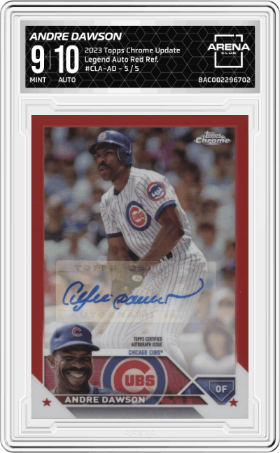 Andre Dawson