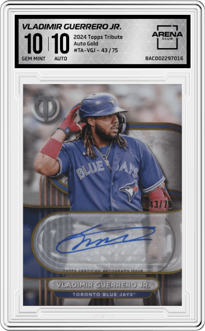 Vladimir Guerrero Jr. 