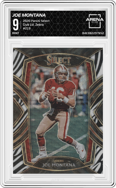 Joe Montana