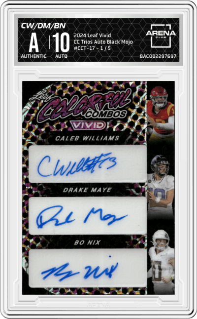 Caleb Williams / Drake Maye / Bo Nix