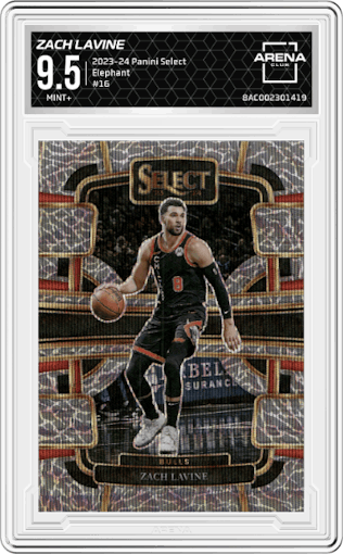 Zach LaVine	  from the 2023-24 Panini Select  set featuring a Elephant Prizm parallel graded by Arena Club and given an overall grade of 9.5.